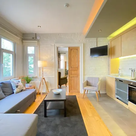 Central Flat In Beyoglu Lejlighed Istanbul